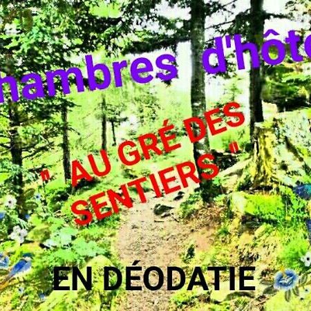 לינה וארוחת בוקר Saint-Die-des-Vosges Au Gre Des Sentiers Chez Marie Et Pierre מראה חיצוני תמונה