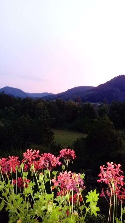 לינה וארוחת בוקר Saint-Die-des-Vosges Au Gre Des Sentiers Chez Marie Et Pierre מראה חיצוני תמונה