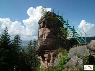 לינה וארוחת בוקר Saint-Die-des-Vosges Au Gre Des Sentiers Chez Marie Et Pierre מראה חיצוני תמונה