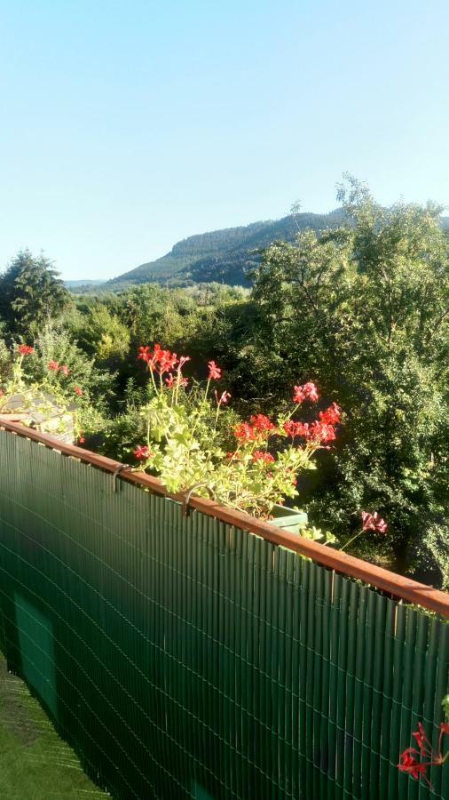 לינה וארוחת בוקר Saint-Die-des-Vosges Au Gre Des Sentiers Chez Marie Et Pierre מראה חיצוני תמונה