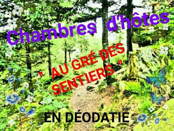 לינה וארוחת בוקר Saint-Die-des-Vosges Au Gre Des Sentiers Chez Marie Et Pierre מראה חיצוני תמונה